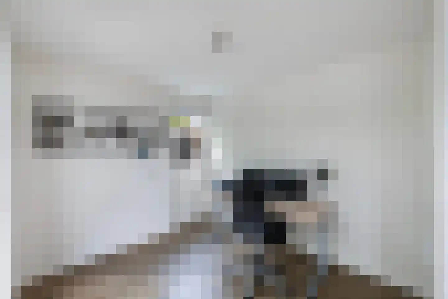 Van Hornmarke 15 Zwolle thumbnail 17