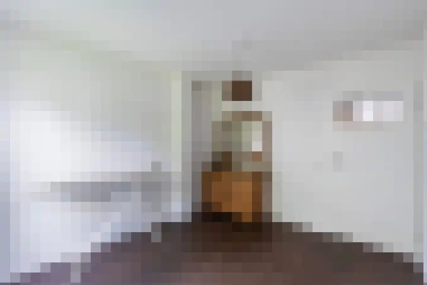 Van Hornmarke 15 Zwolle thumbnail 23