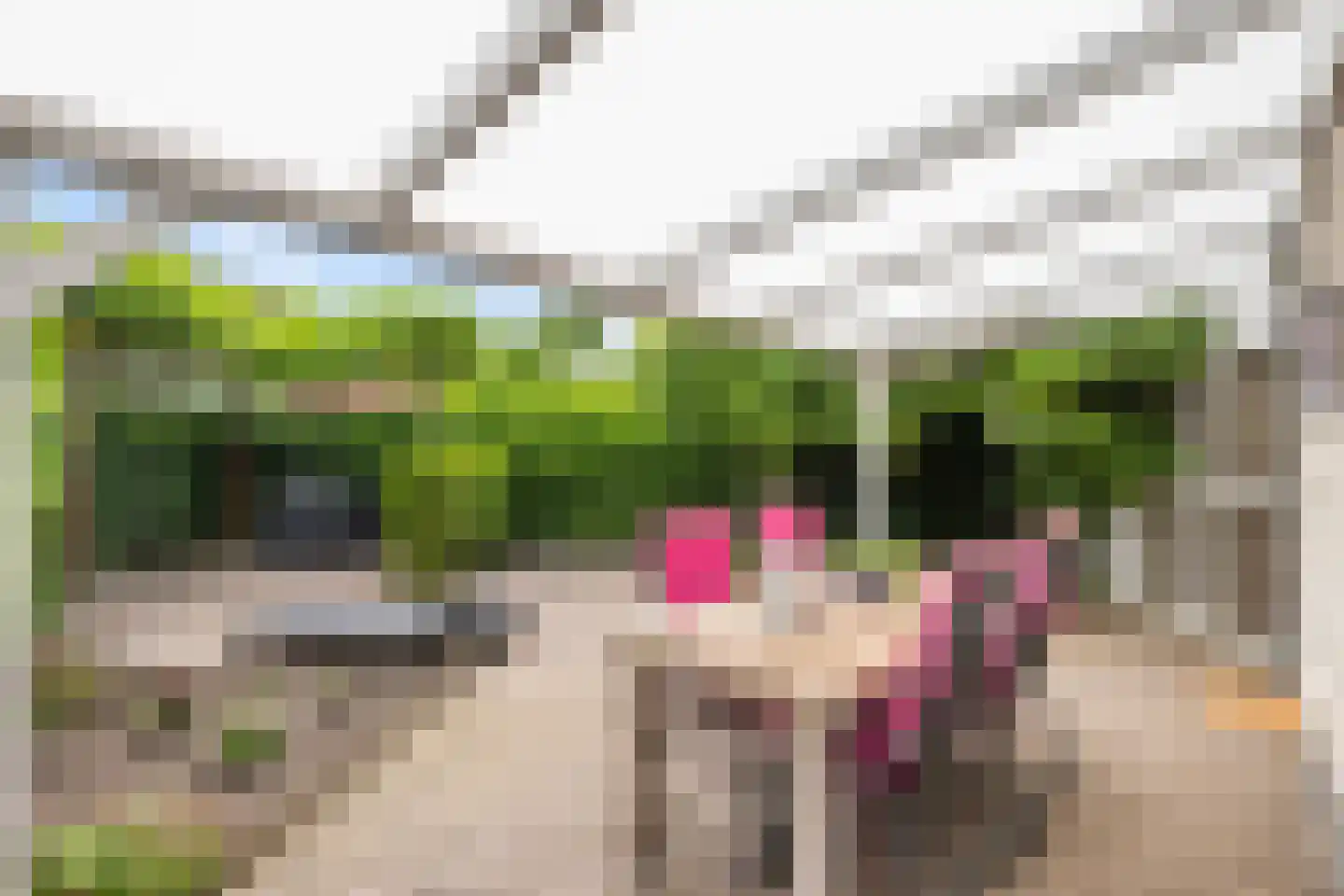 Van Hornmarke 15 Zwolle thumbnail 27