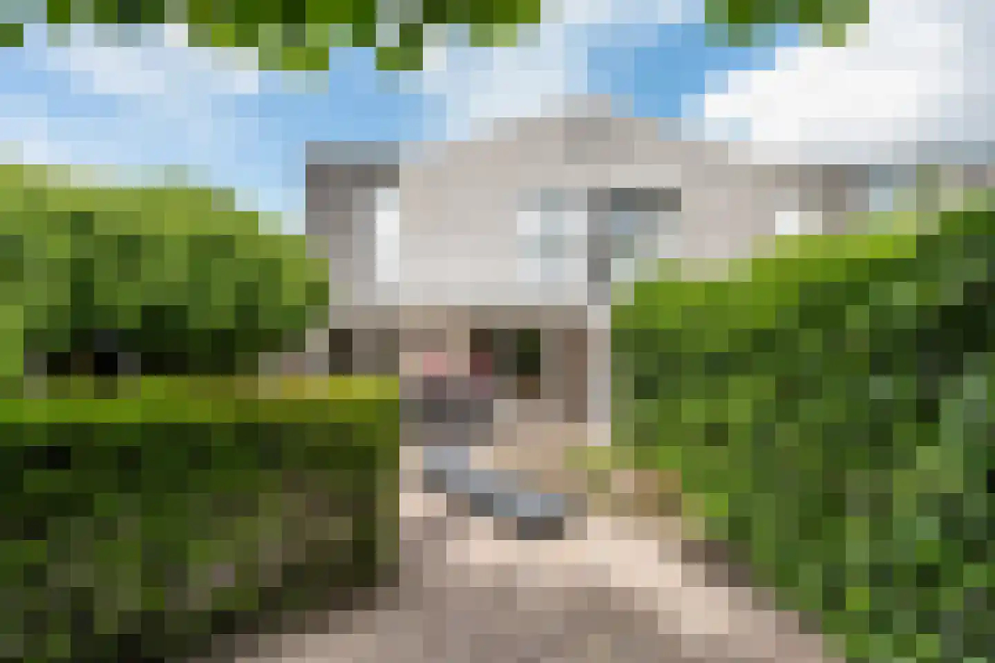 Van Hornmarke 15 Zwolle thumbnail 28