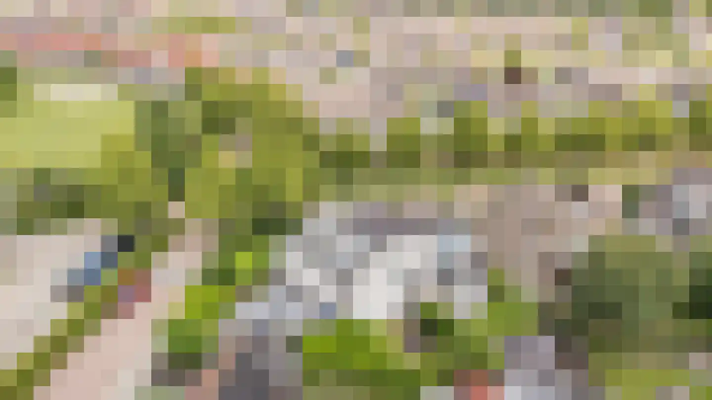 Van Hornmarke 15 Zwolle thumbnail 30