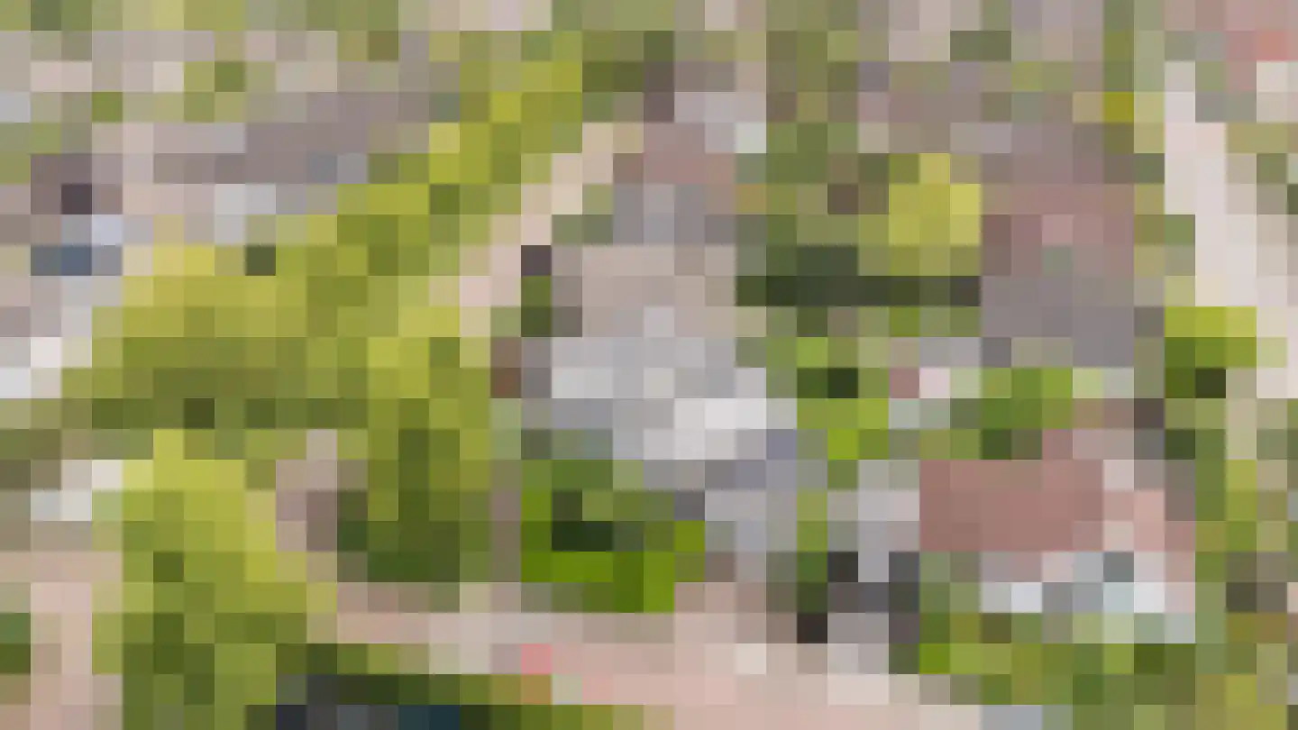 Van Hornmarke 15 Zwolle thumbnail 31