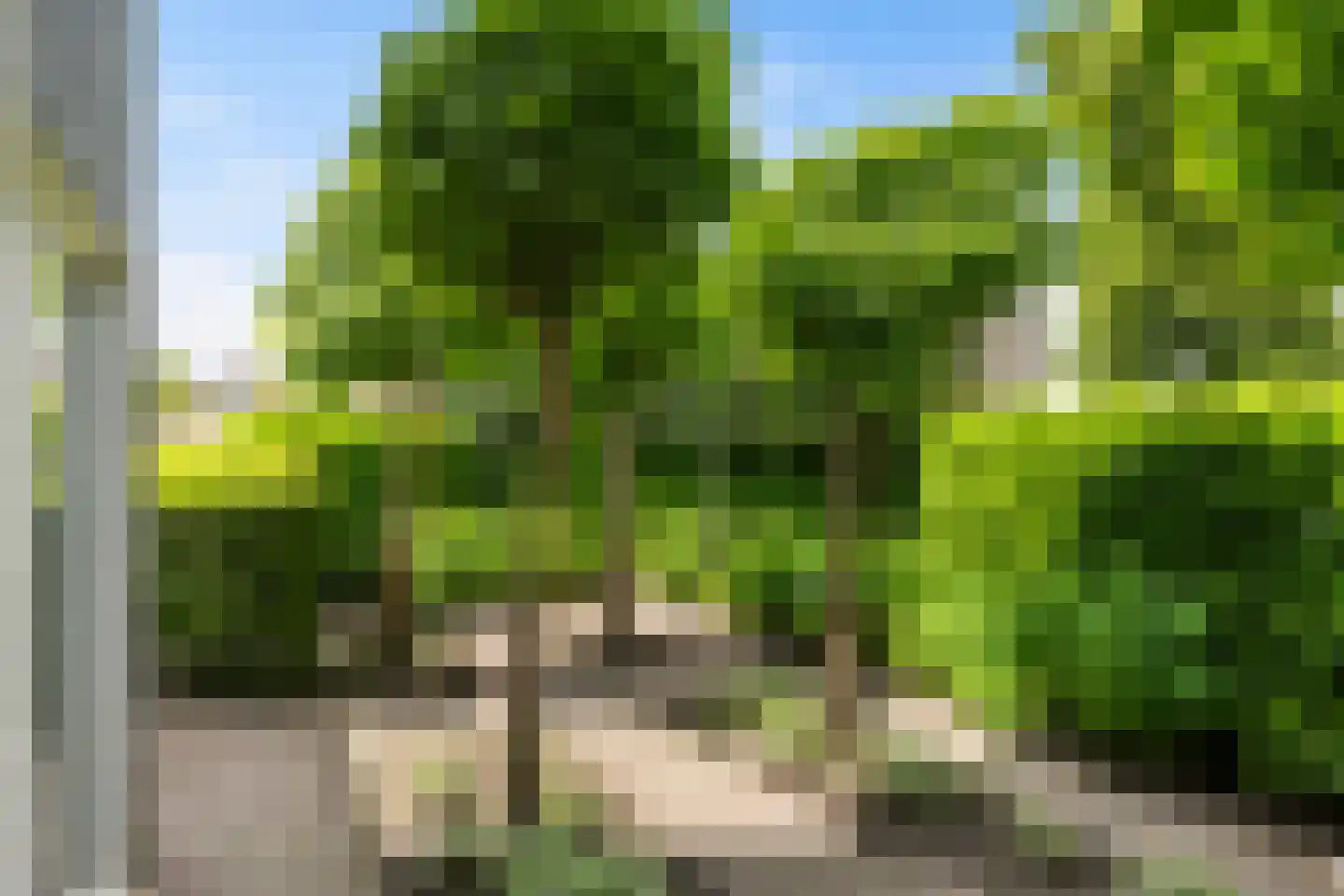 Van Hornmarke 15 Zwolle thumbnail 4