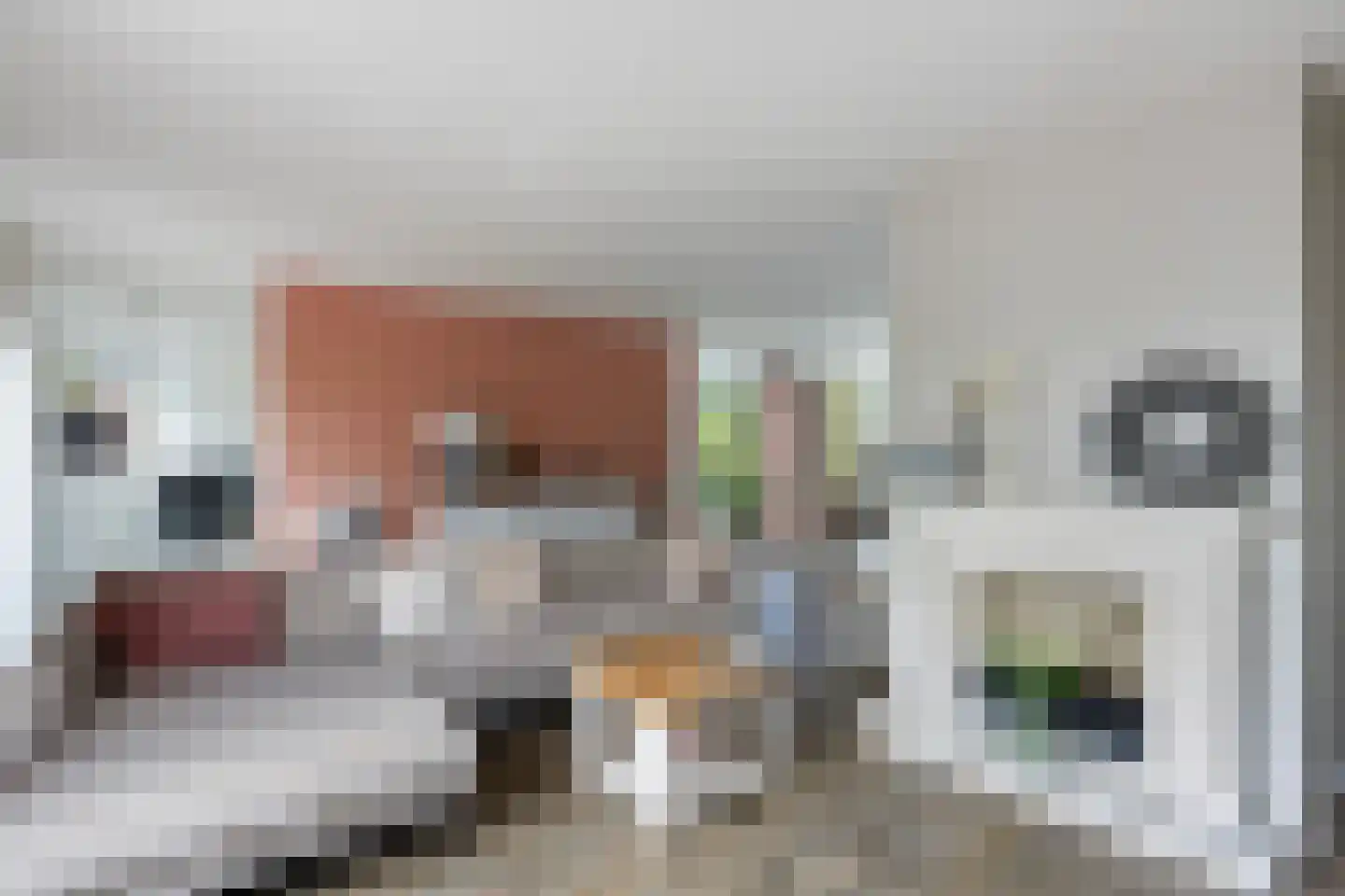 Van Hornmarke 15 Zwolle thumbnail 9