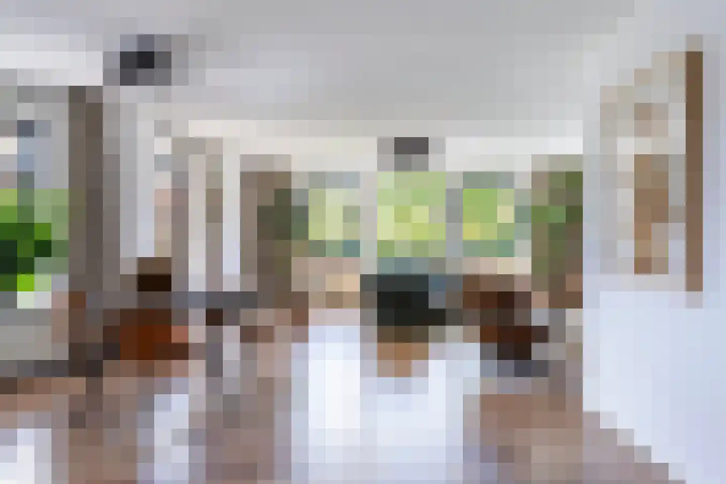 Van Hornmarke 2 Zwolle thumbnail 11