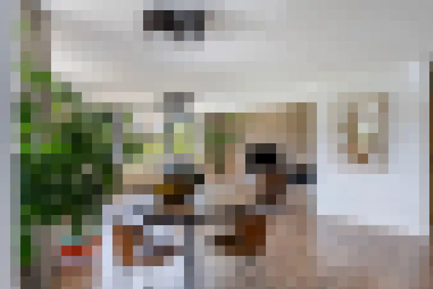 Van Hornmarke 2 Zwolle thumbnail 12
