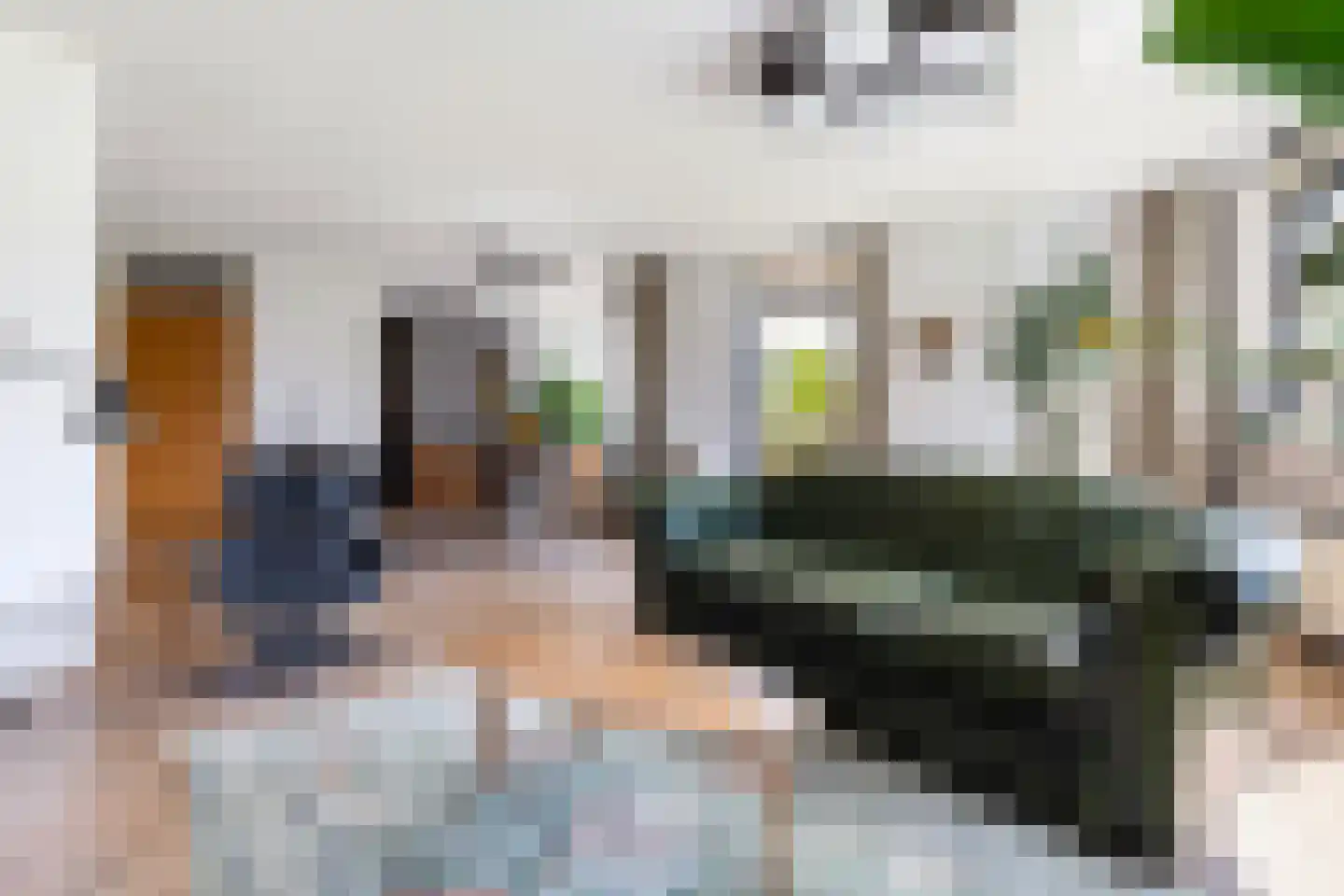 Van Hornmarke 2 Zwolle thumbnail 14