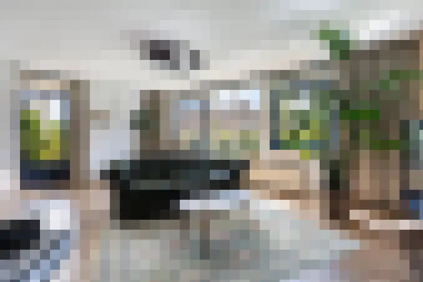 Van Hornmarke 2 Zwolle thumbnail 15