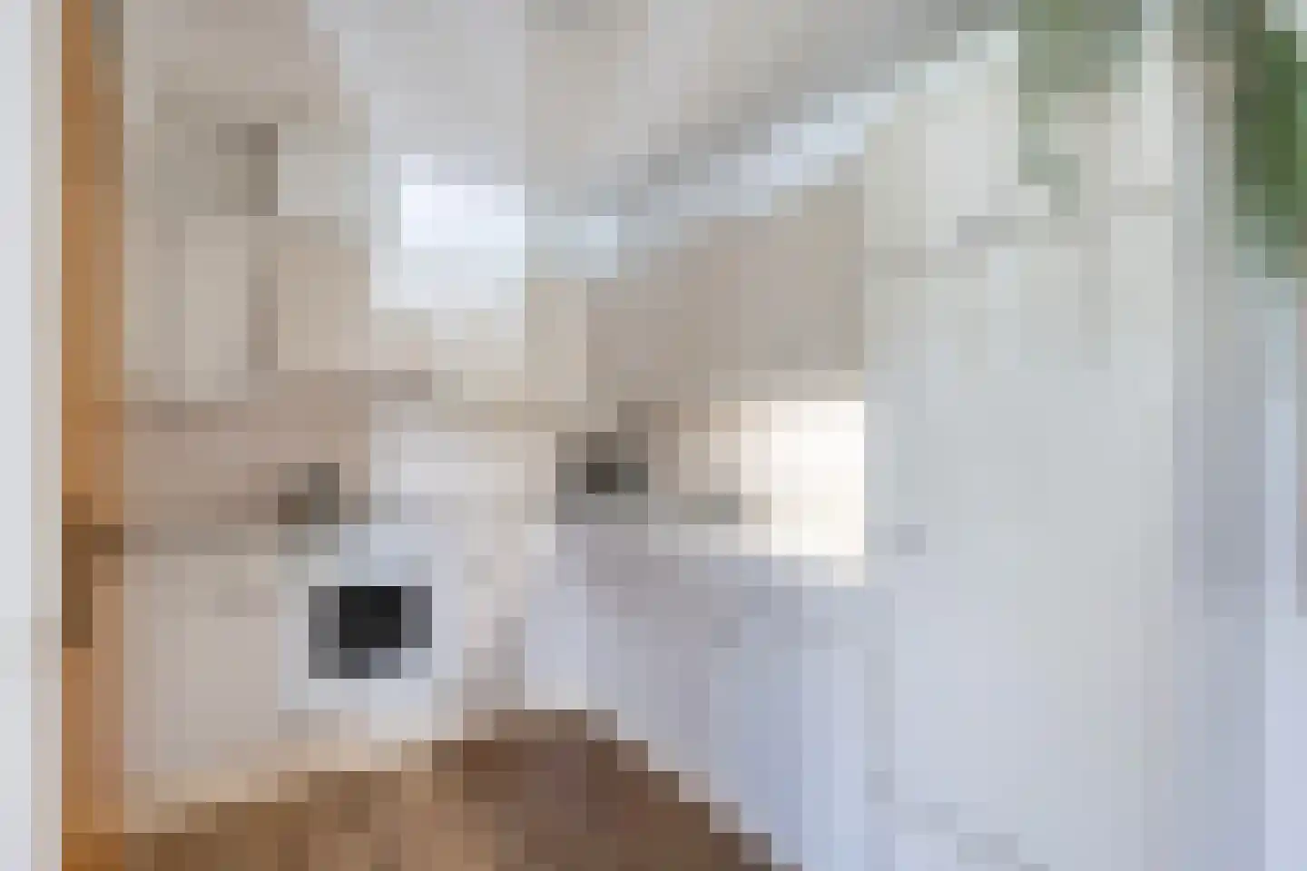 Van Hornmarke 2 Zwolle thumbnail 16