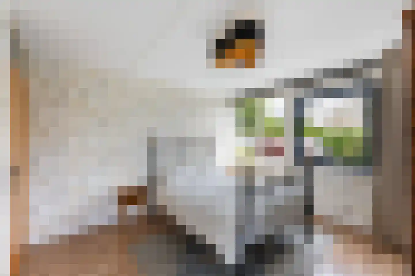 Van Hornmarke 2 Zwolle thumbnail 18