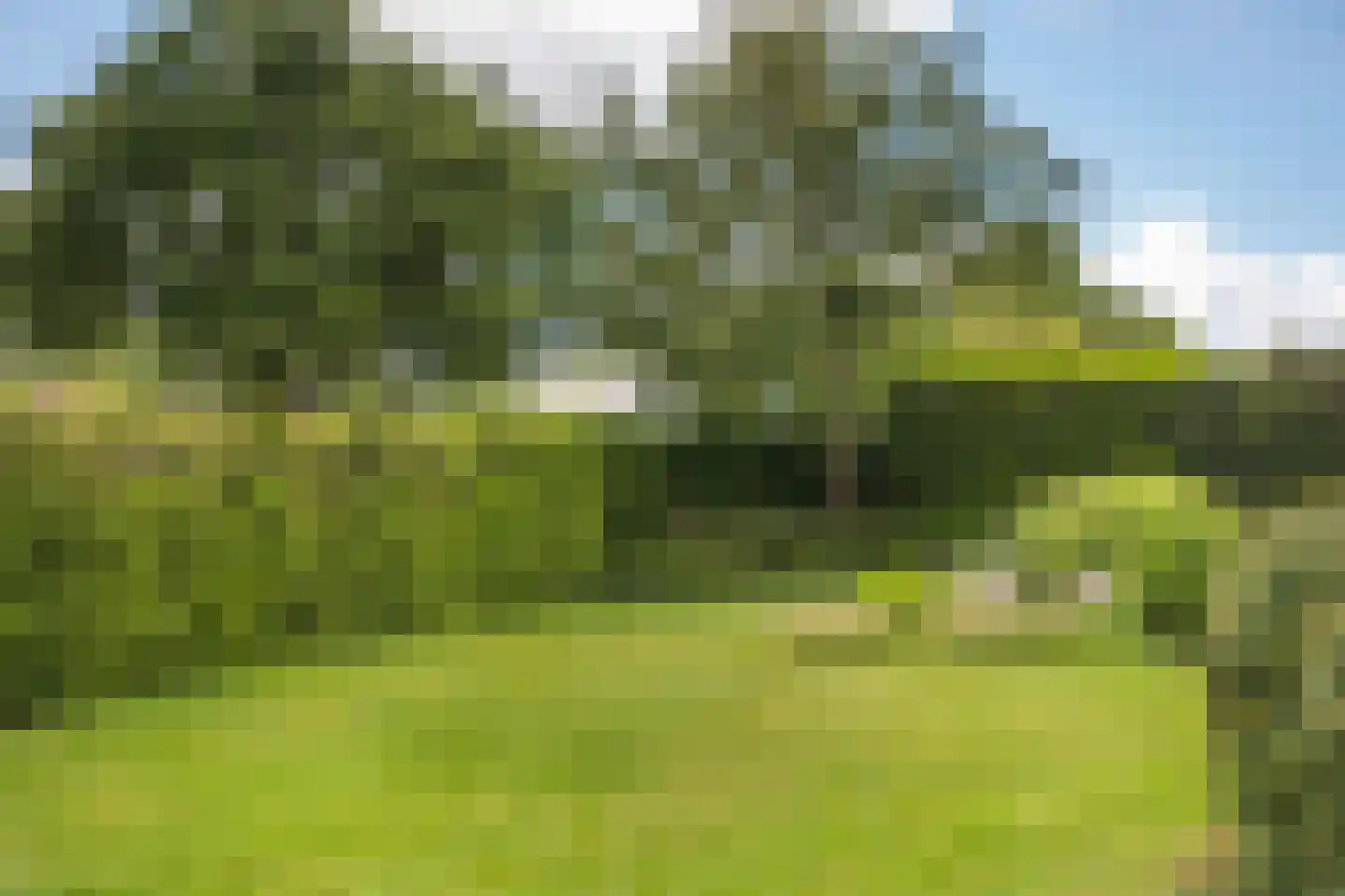 Van Hornmarke 2 Zwolle thumbnail 21