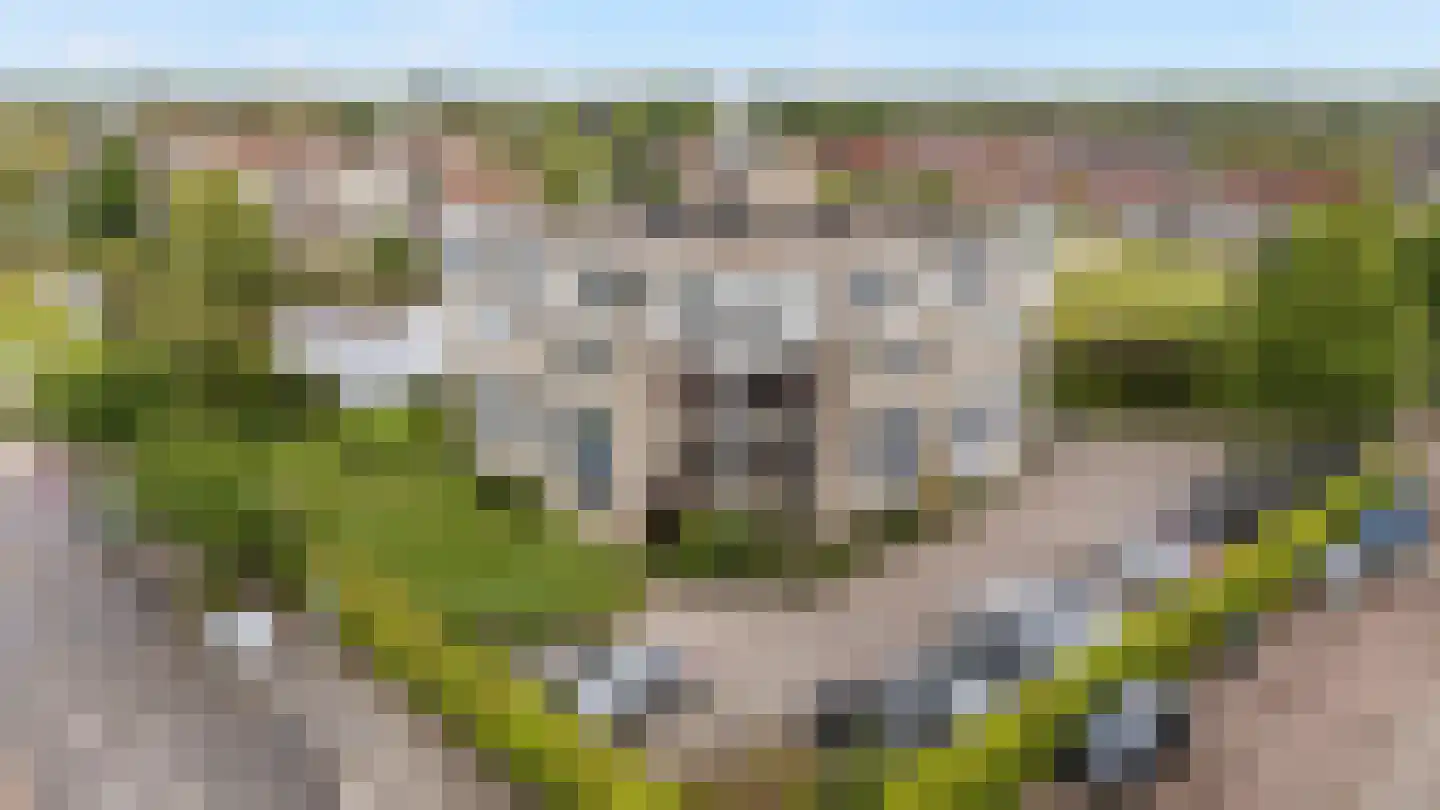 Van Hornmarke 2 Zwolle thumbnail 22