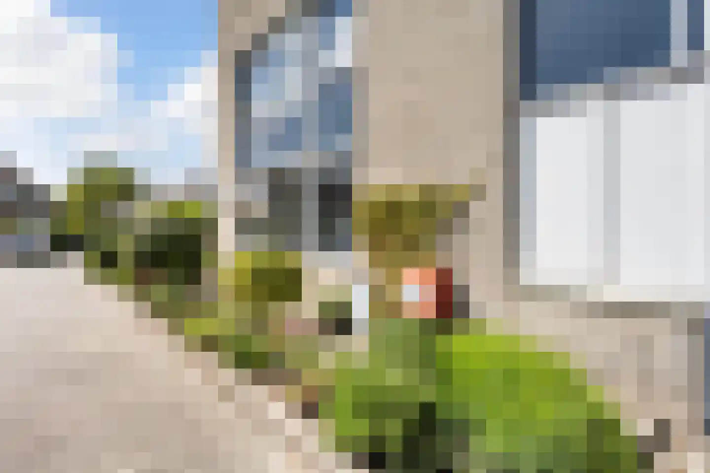 Van Hornmarke 2 Zwolle thumbnail 4