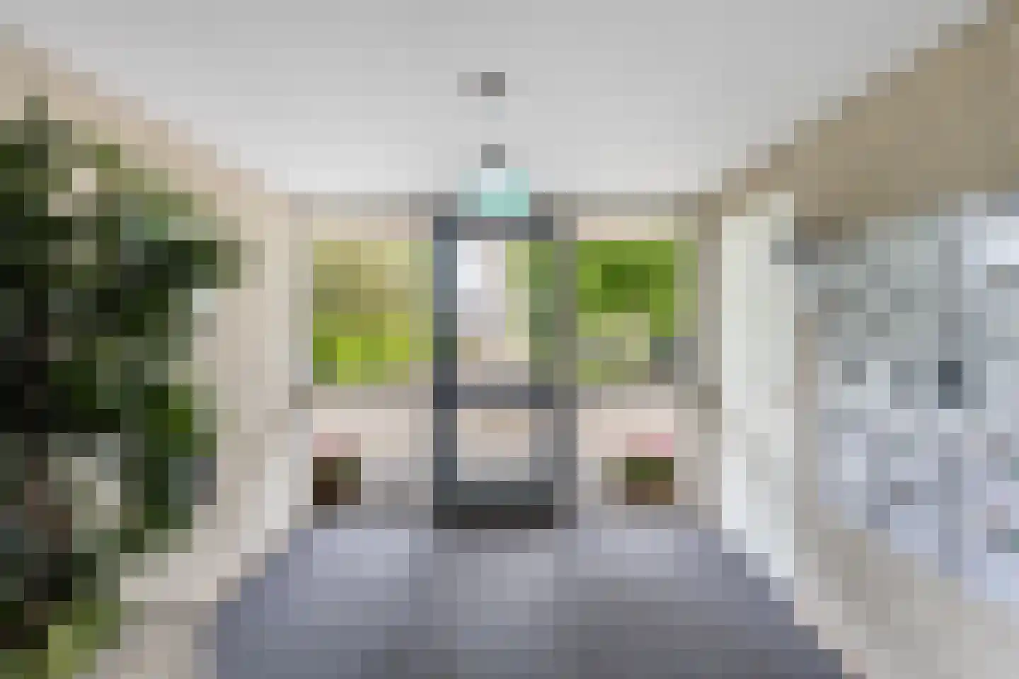 Van Hornmarke 2 Zwolle thumbnail 6