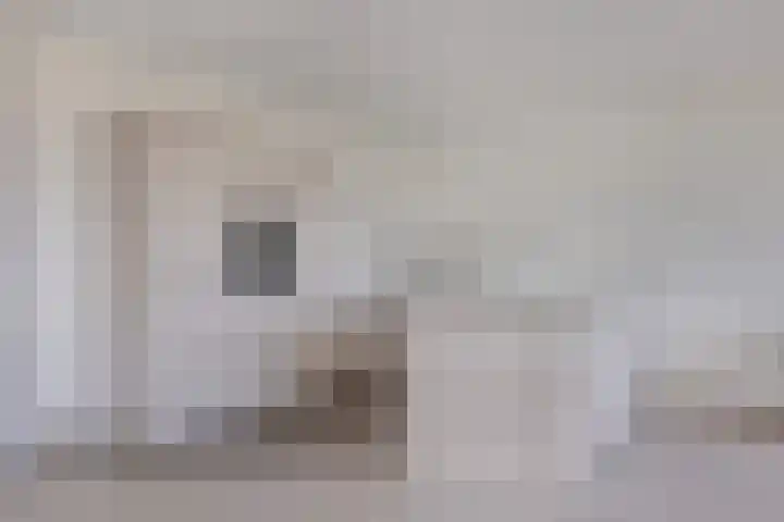 Van Hornmarke 24 Zwolle thumbnail 10