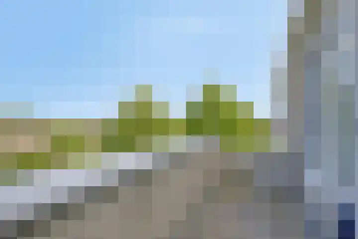 Van Hornmarke 24 Zwolle thumbnail 13