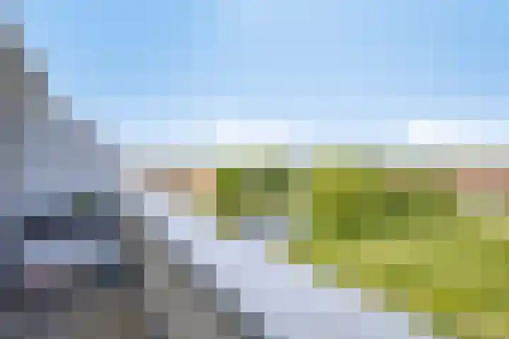 Van Hornmarke 24 Zwolle thumbnail 14