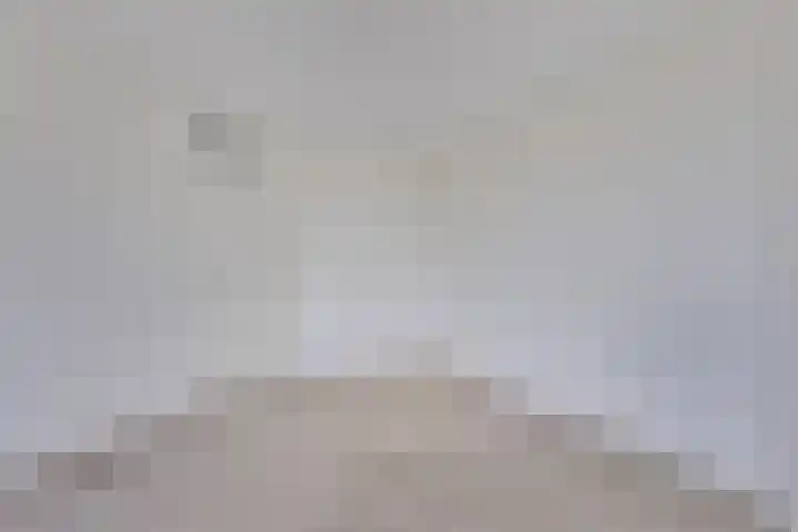 Van Hornmarke 24 Zwolle thumbnail 17