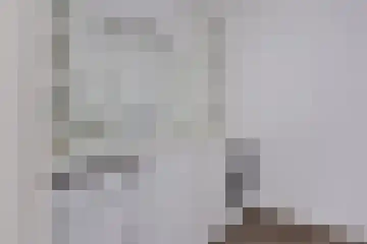 Van Hornmarke 24 Zwolle thumbnail 20