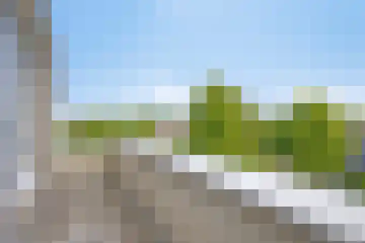 Van Hornmarke 24 Zwolle thumbnail 22
