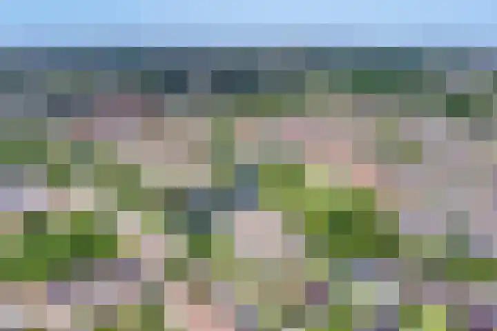Van Hornmarke 24 Zwolle thumbnail 25