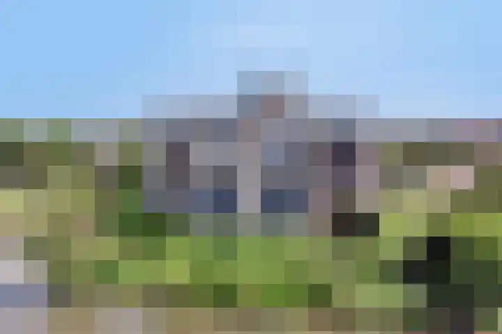 Van Hornmarke 24 Zwolle thumbnail 26