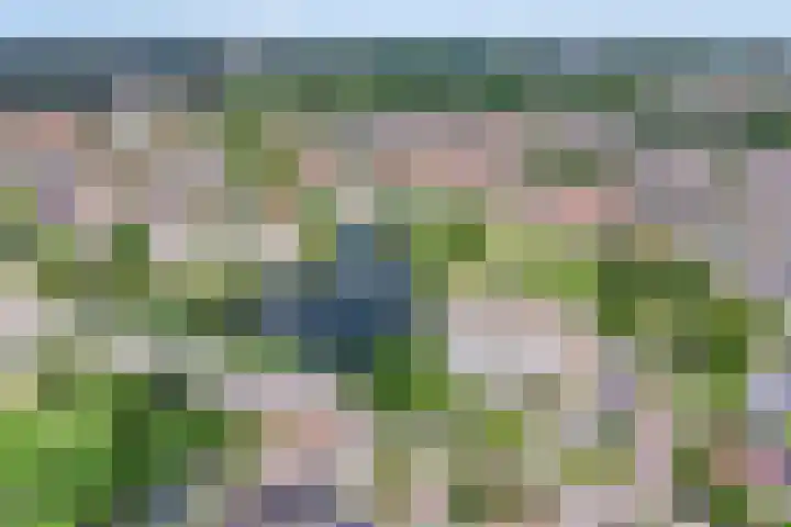 Van Hornmarke 24 Zwolle thumbnail 27