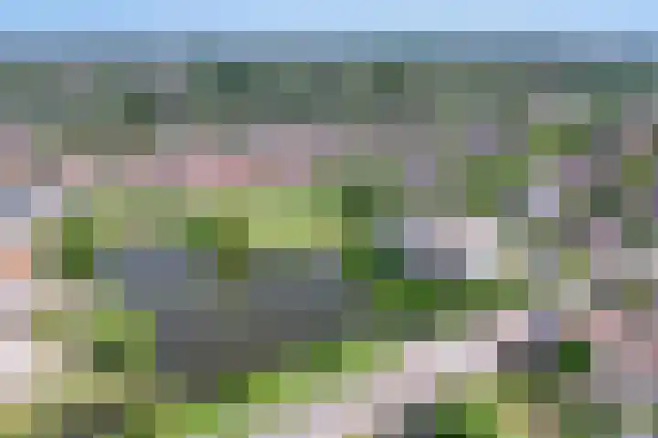 Van Hornmarke 24 Zwolle thumbnail 28