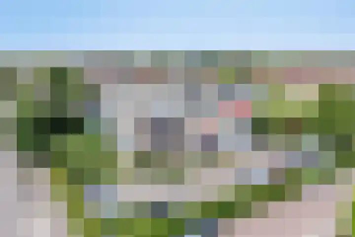 Van Hornmarke 24 Zwolle thumbnail 4