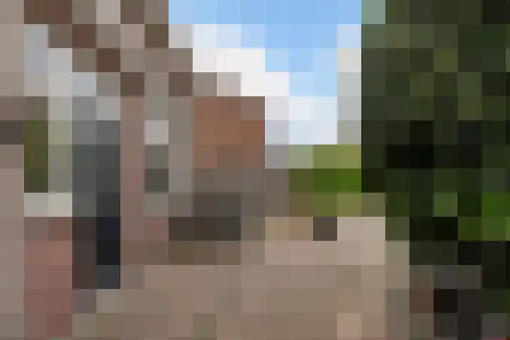 van Hornstraat 10 Boxtel thumbnail 59