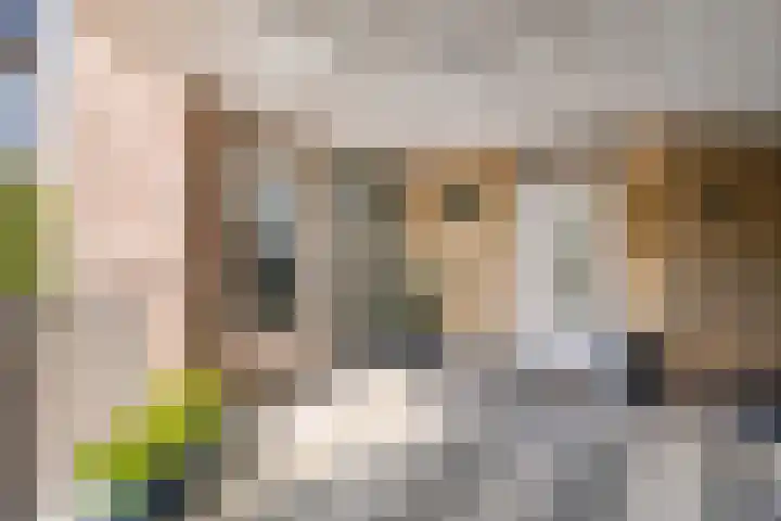 van Hornstraat 36 Boxtel thumbnail 4