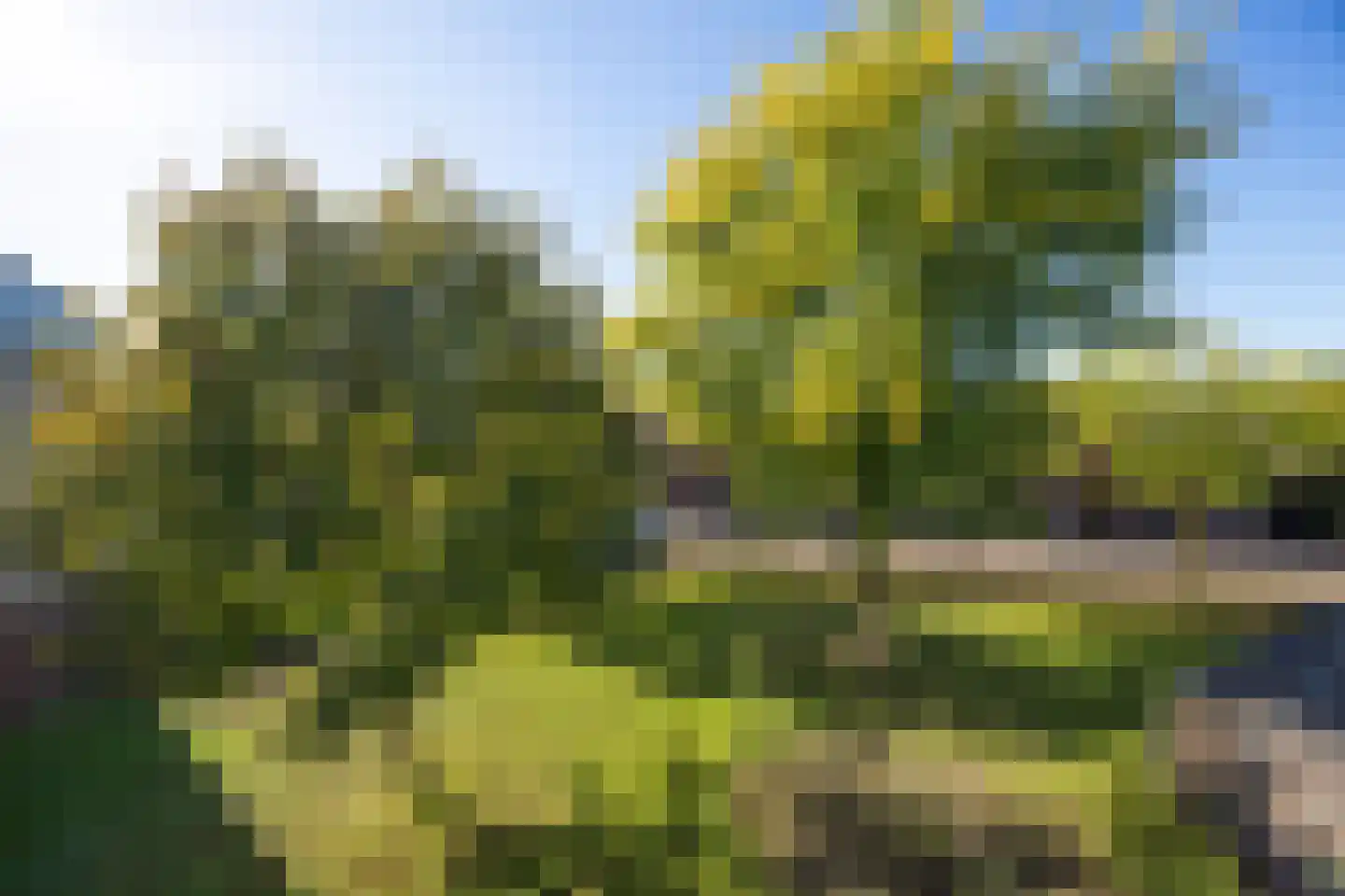 van Hornstraat 54 Boxtel thumbnail 26