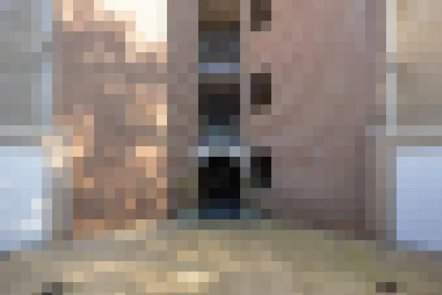 van Hornstraat 54 Boxtel thumbnail 39