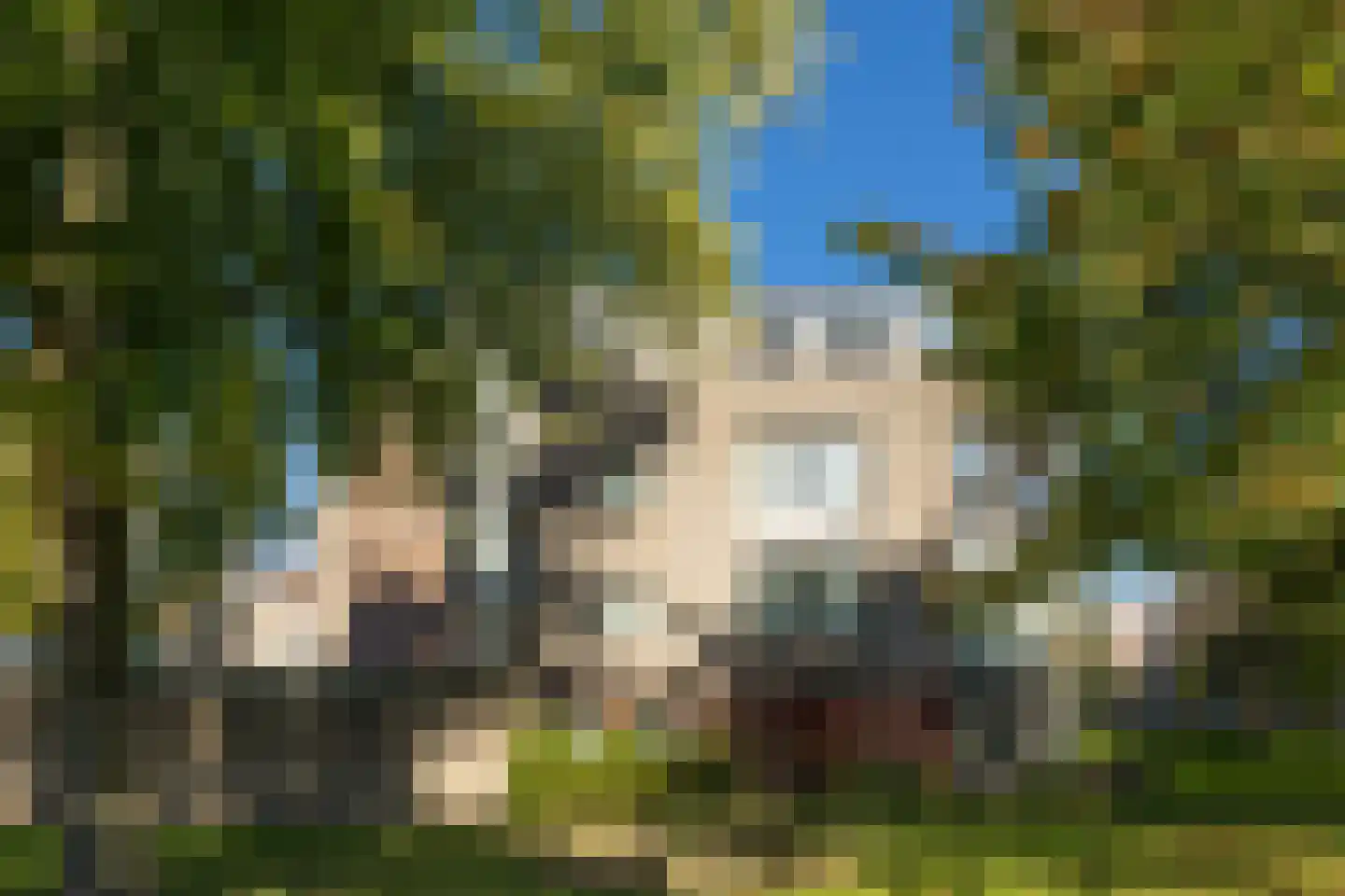 van Hornstraat 54 Boxtel thumbnail 44