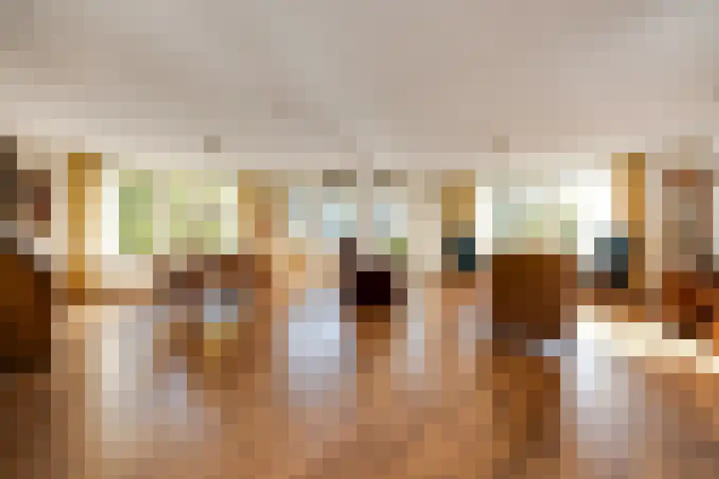 van Hornstraat 54 Boxtel thumbnail 9