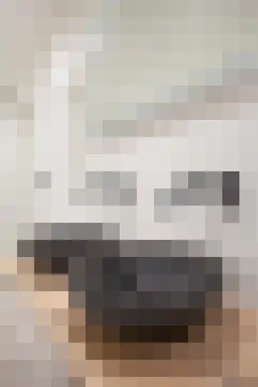 Van Hottingawei 13 Pietersbierum thumbnail 11