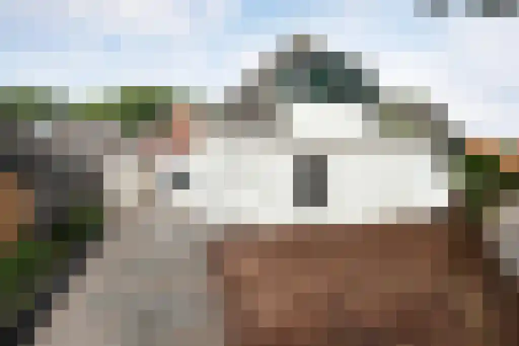 Van Hottingawei 13 Pietersbierum thumbnail 28