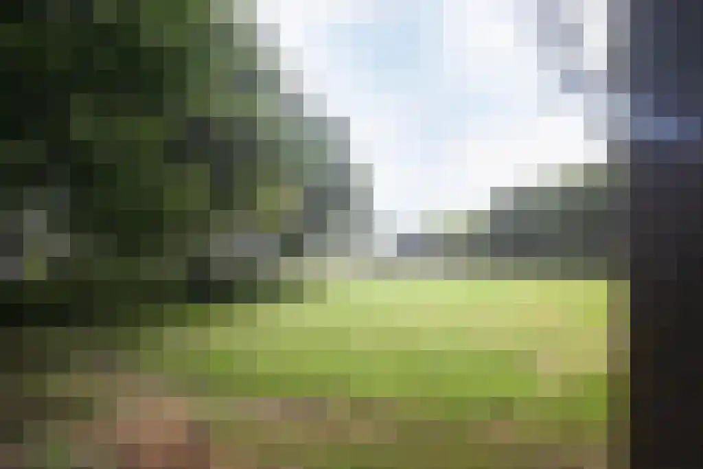 Van Hottingawei 13 Pietersbierum thumbnail 30