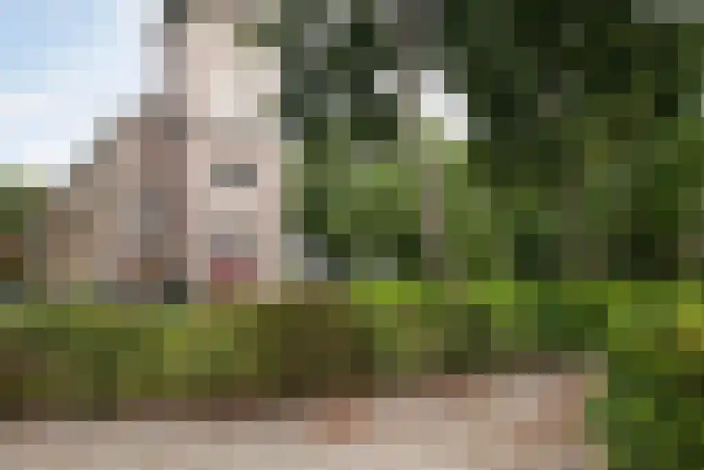 Van Hottingawei 13 Pietersbierum thumbnail 31