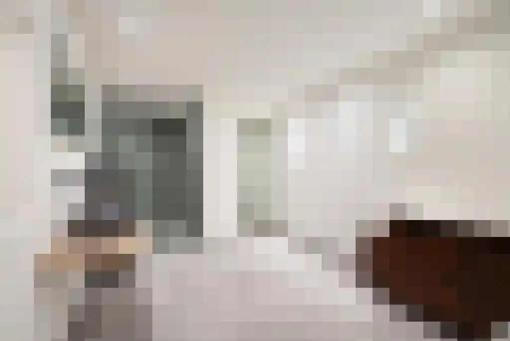 Van Hottingawei 13 Pietersbierum thumbnail 7