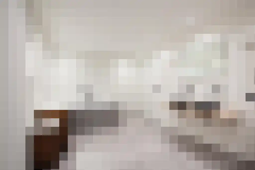 Van Hottingawei 13 Pietersbierum thumbnail 8