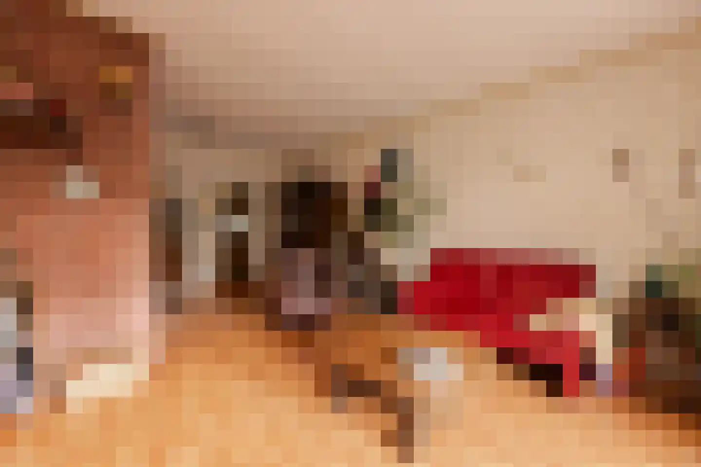 Van Hottingawei 8 Pietersbierum thumbnail 10