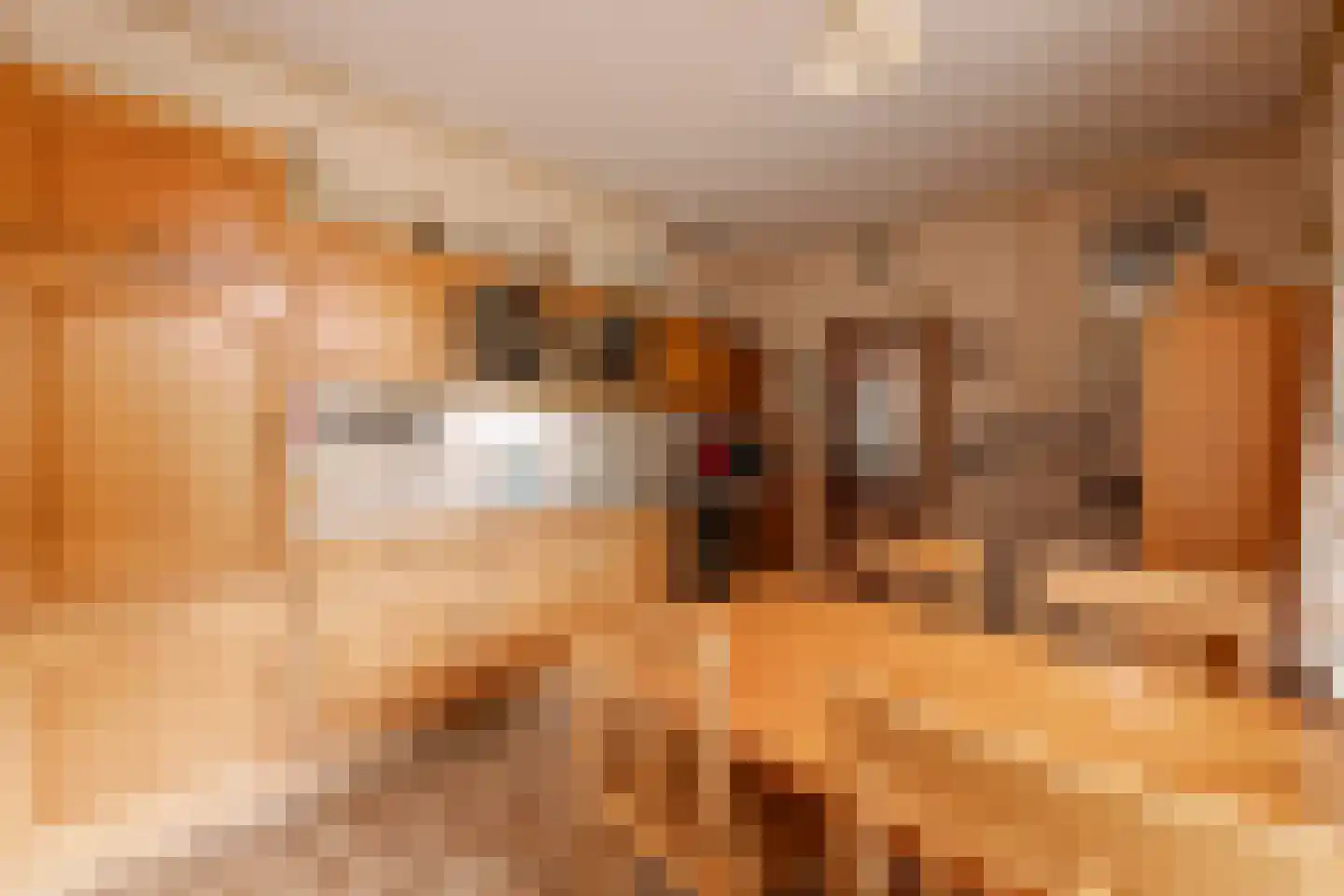 Van Hottingawei 8 Pietersbierum thumbnail 13