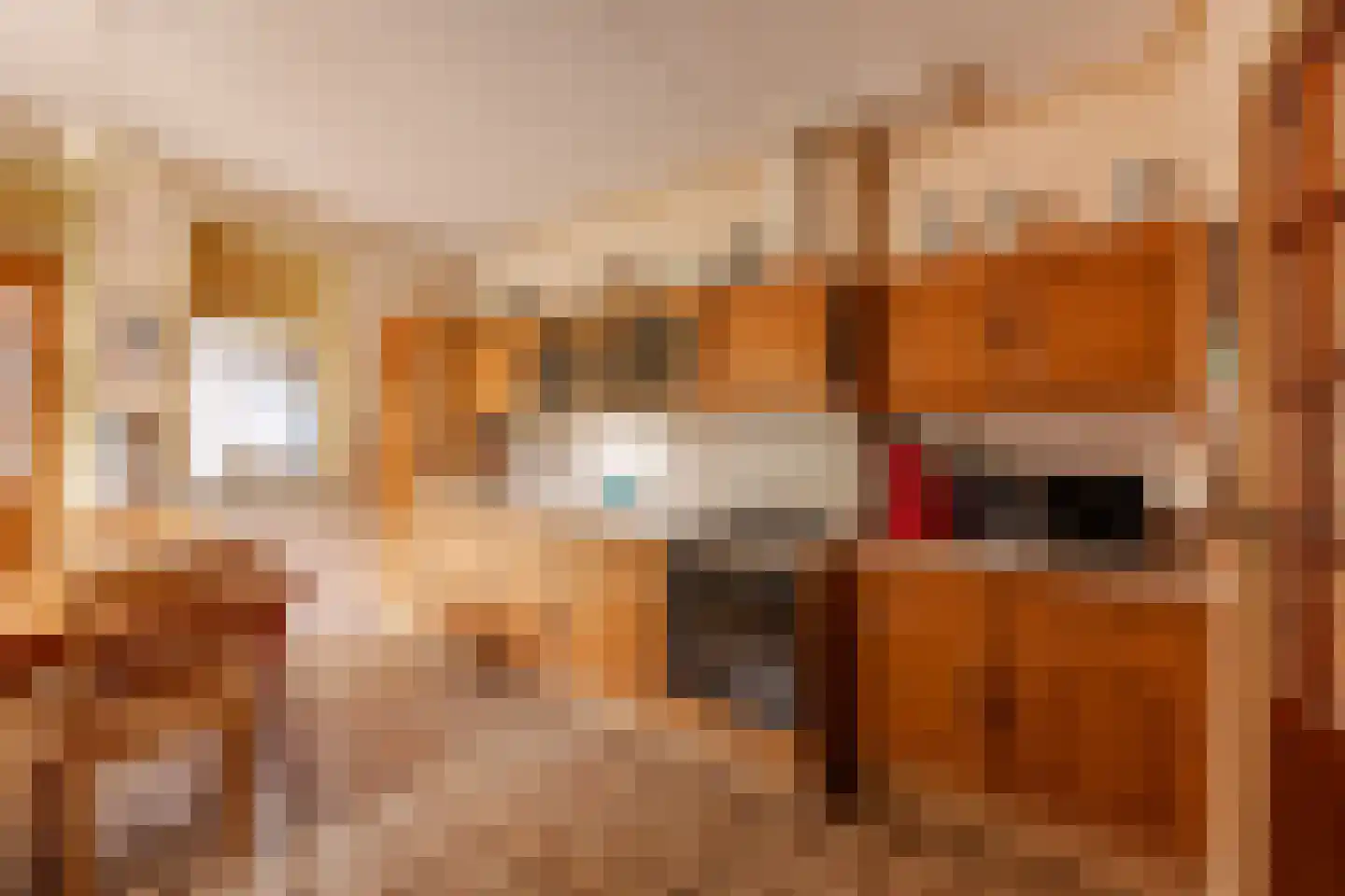Van Hottingawei 8 Pietersbierum thumbnail 14