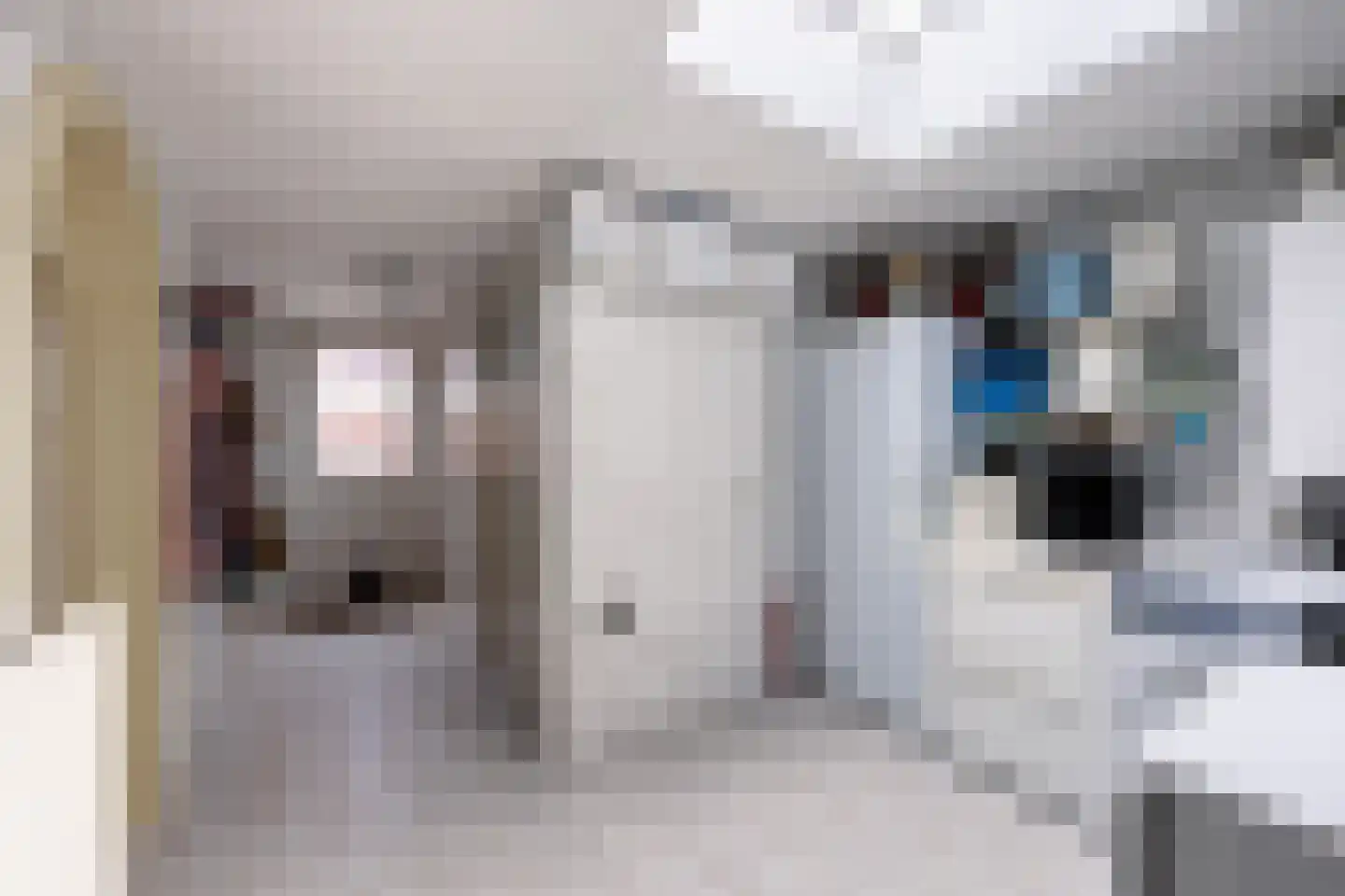 Van Hottingawei 8 Pietersbierum thumbnail 15