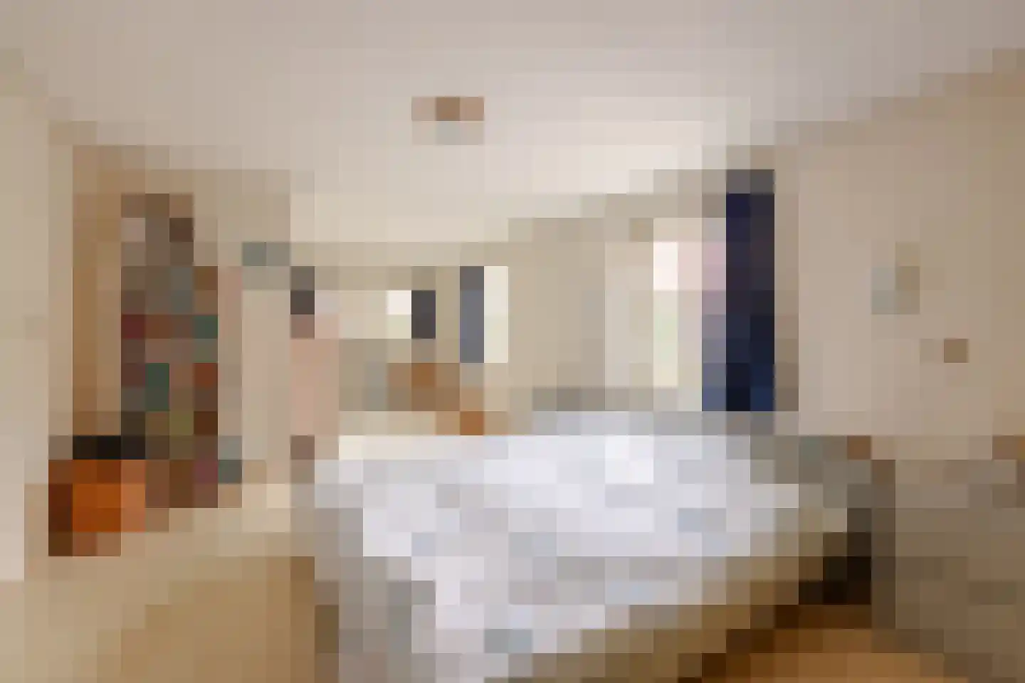 Van Hottingawei 8 Pietersbierum thumbnail 17