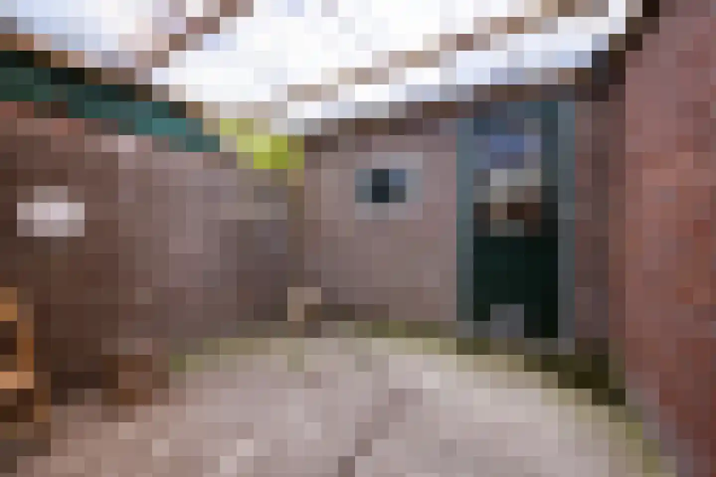 Van Hottingawei 8 Pietersbierum thumbnail 18