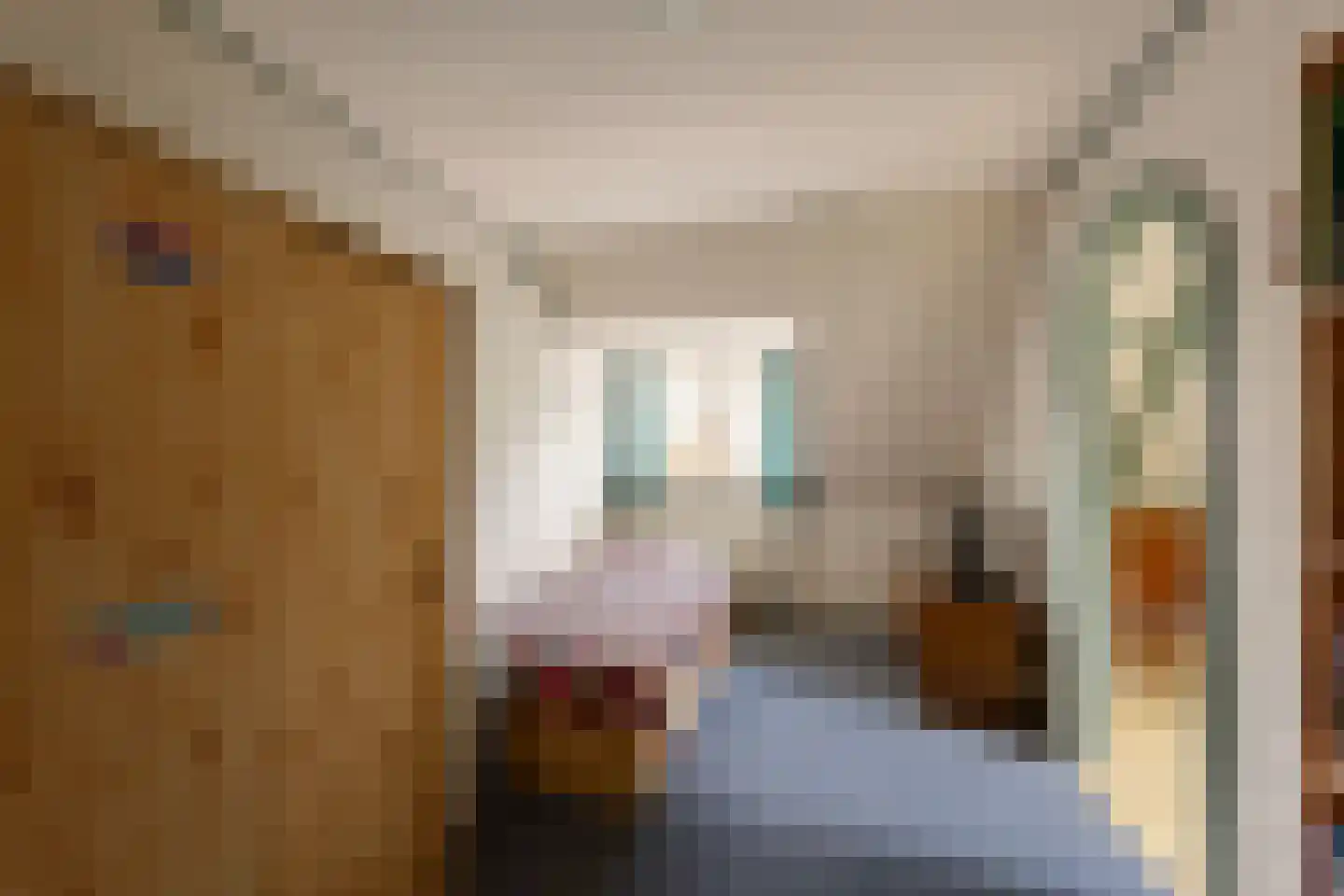 Van Hottingawei 8 Pietersbierum thumbnail 20