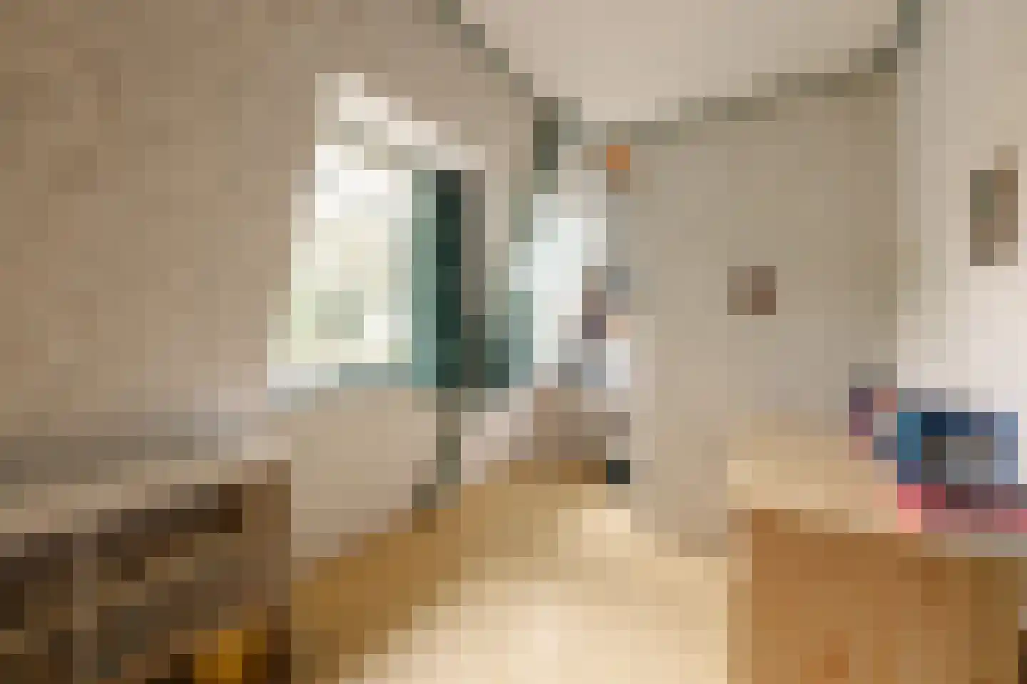 Van Hottingawei 8 Pietersbierum thumbnail 22