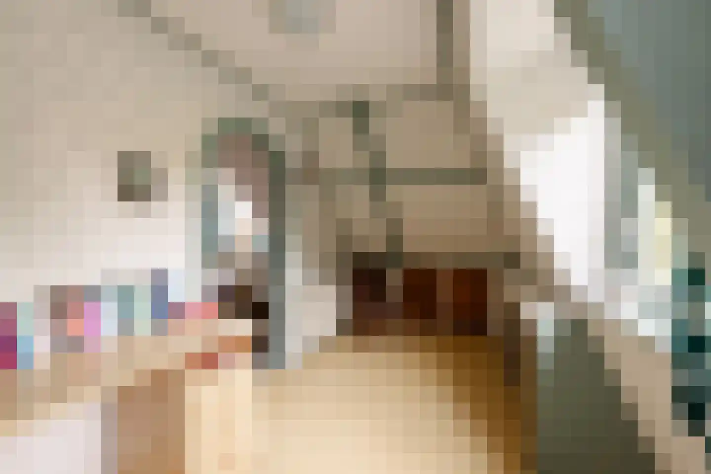 Van Hottingawei 8 Pietersbierum thumbnail 23